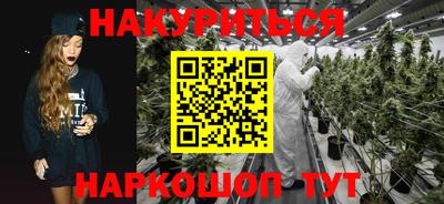 apvp Пугачёв