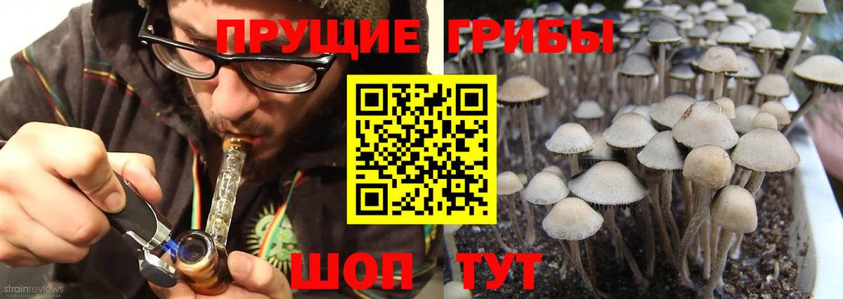 Саянск  Псилоцибиновые грибы Magic Shrooms  Вход с VPN  Псилоцибиновые грибы Psilocybe 